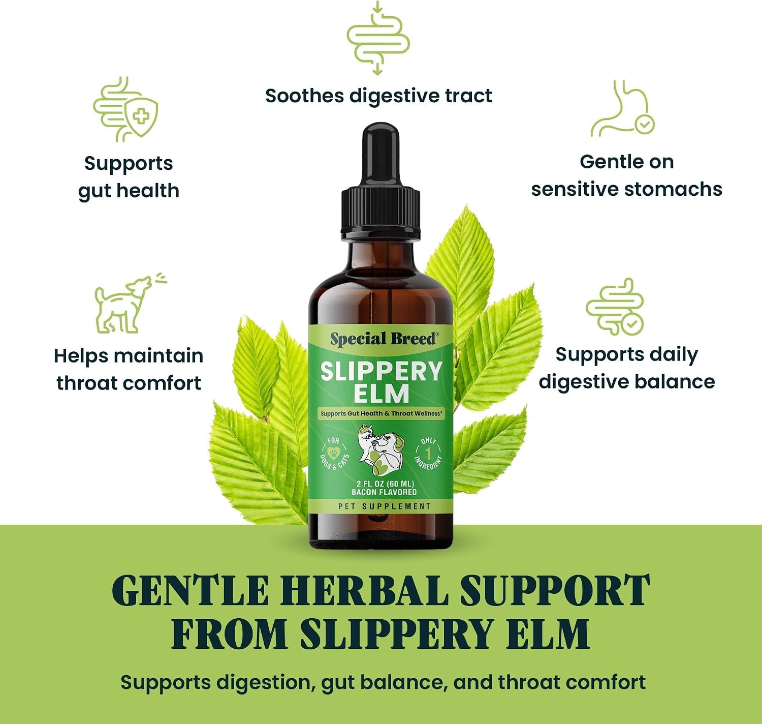 slippery-elm-for-dogs-and-cats-soothing-digestive-relief-and-gut-support-stomach-comfort-and-throat-support-herbal-drops-for-pets-easy-to-use-bacon-flavored-2-fl-oz