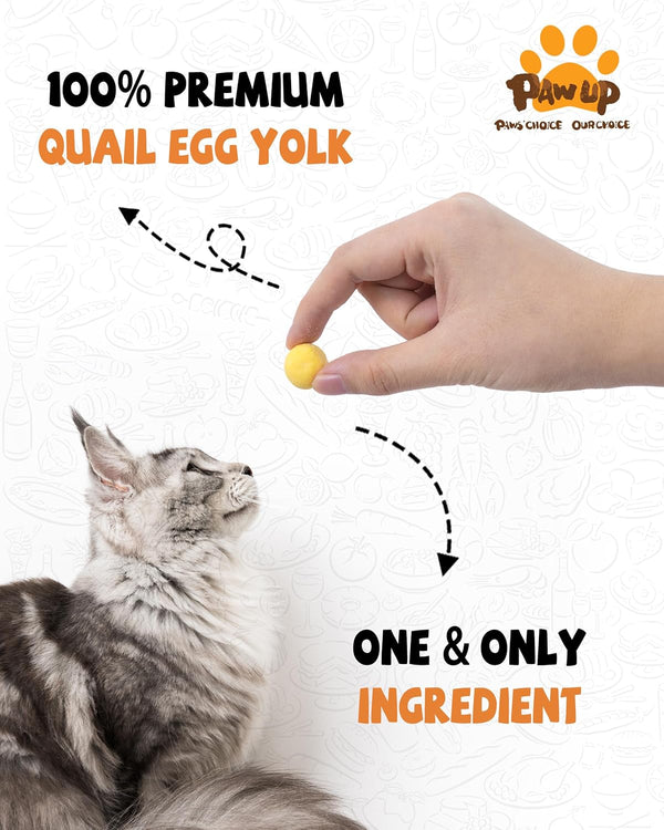 PAWUP Freeze Dried Quail Egg Yolk Pet Treats, Freeze-Dried Pet Food for Dogs, Cats, Pure Fresh Ingredient, 4.2 Oz, Rawhide Free, Gluten&Grain Free2