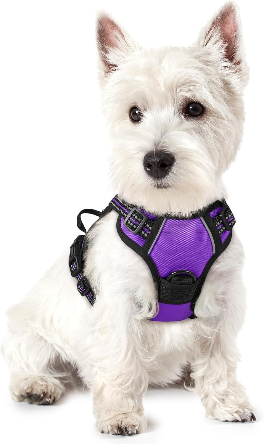 rabbitgoo-dog-harness-no-pull-for-large-dogs-with-2-leash-clips-pet-vest-no-choke-with-handle-adjustable-soft-padded-reflective-easy-control-for-walking-black-large