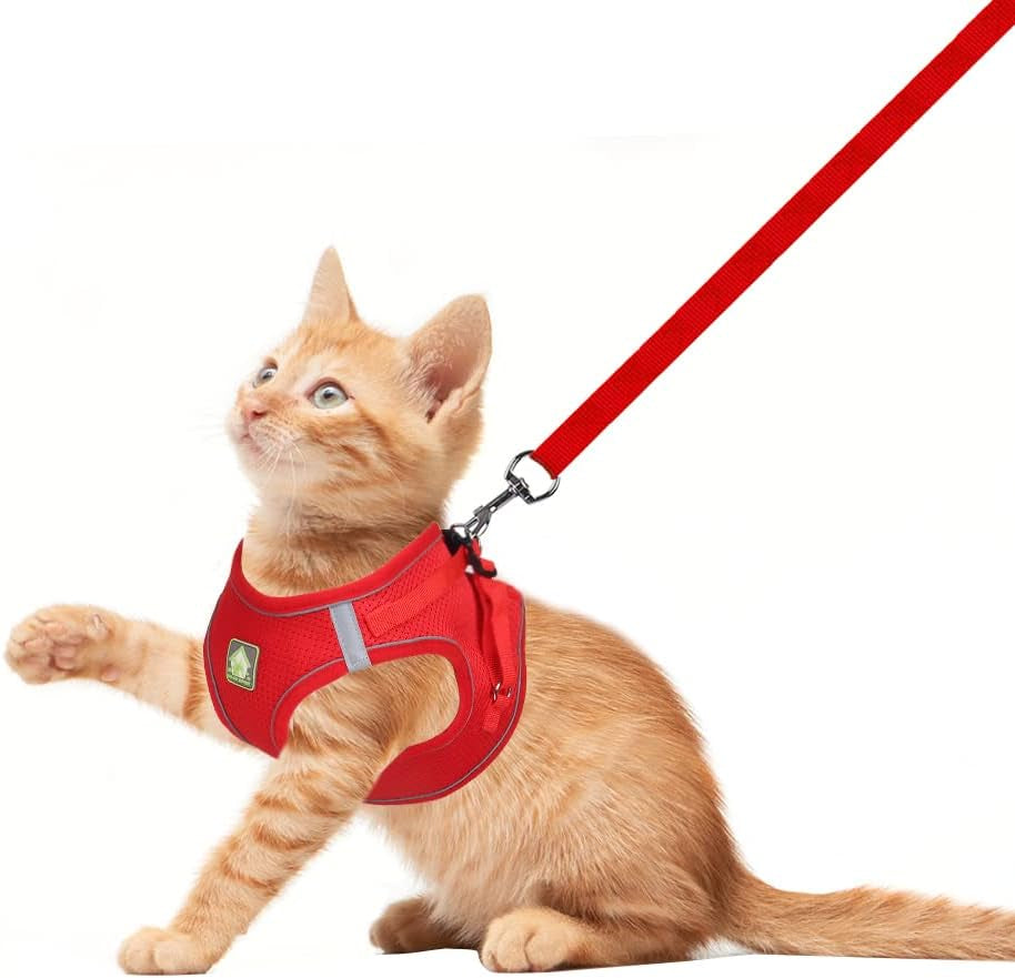 feimax-dog-harness-and-leash-set-no-pull-breathable-soft-mesh-puppy-vest-harness-reflective-adjustable-pet-harnesses-for-small-medium-dogs-and-cats-outdoor-easy-control-for-walking