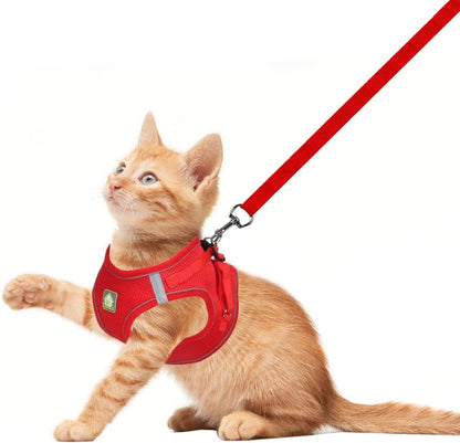 Feimax Dog Harness and Leash Set, No Pull Breathable Soft Mesh Puppy Vest Harness Reflective Adjustable Pet Harnesses for Small Medium Dogs and Cats - Outdoor Easy Control for Walking2
