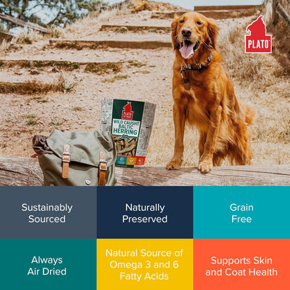 Plato Pet Treats Fish Dog Treats - Air-Dried, Single Ingredient Pet Treat - Omega 3 & 6 Fatty Acids to Support Skin and Coat - 100% Whole Fish - Wild Caught Baltic Herring - 3Oz - 2 Pack5