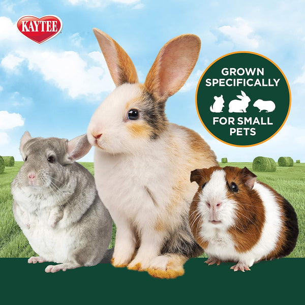 Kaytee Timothy Hearty Hay for Guinea Pigs, Rabbits & Other Small Animals, 48 Oz6