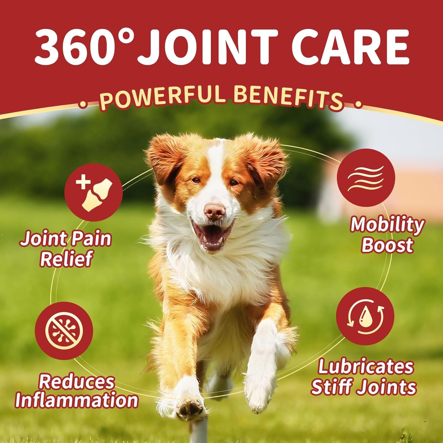 nature-target-glucosamine-for-dogs-120-soft-chews-chicken-flavor-joint-supplement-with-chondroitin-msm-omega-3-hemp-for-pain-relief-hip-joint-chews-for-dogs-with-calcium-for-bone-health
