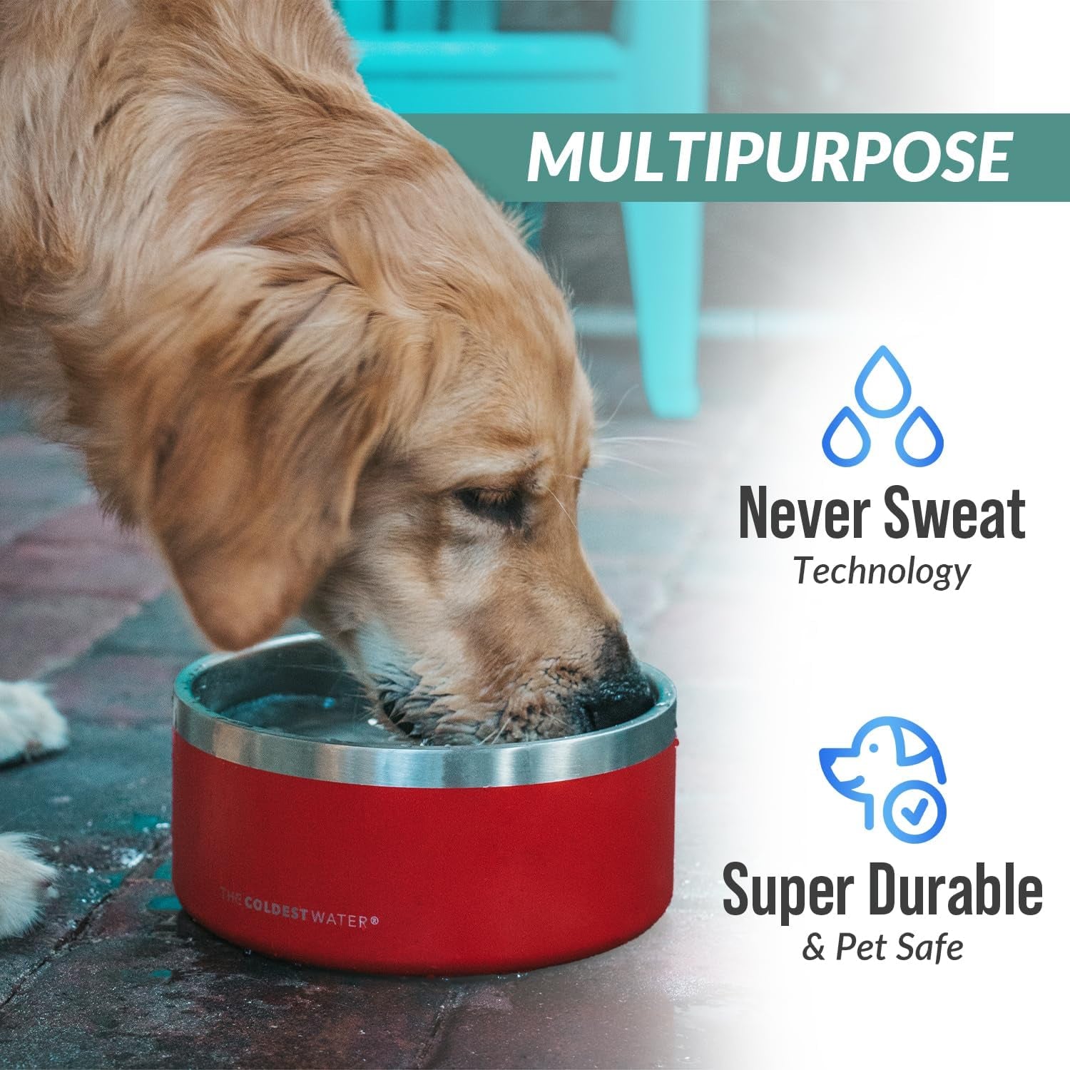 coldest-dog-bowl-anti-rust-metal-non-slip-3-layers-insulated-stainless-steel-dog-bowls-spill-proof-heavy-duty-water-bowl-for-dogs-cats-dish-washer-safe-21-oz-polished-stainless-steel