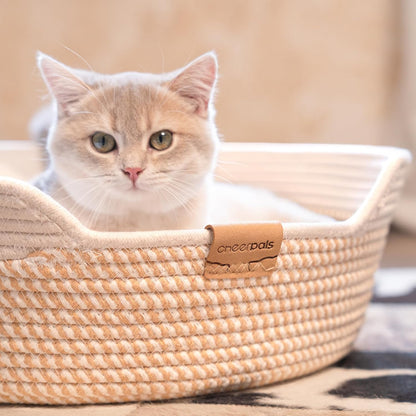 CHEERHOME PETS Cat Bed Basket with Cushion, Cotton Rope Woven Pet Bed for Indoor Cats Couch, Stimulicat Cat Bed Handwoven Breathable, All Season Universal (White)9