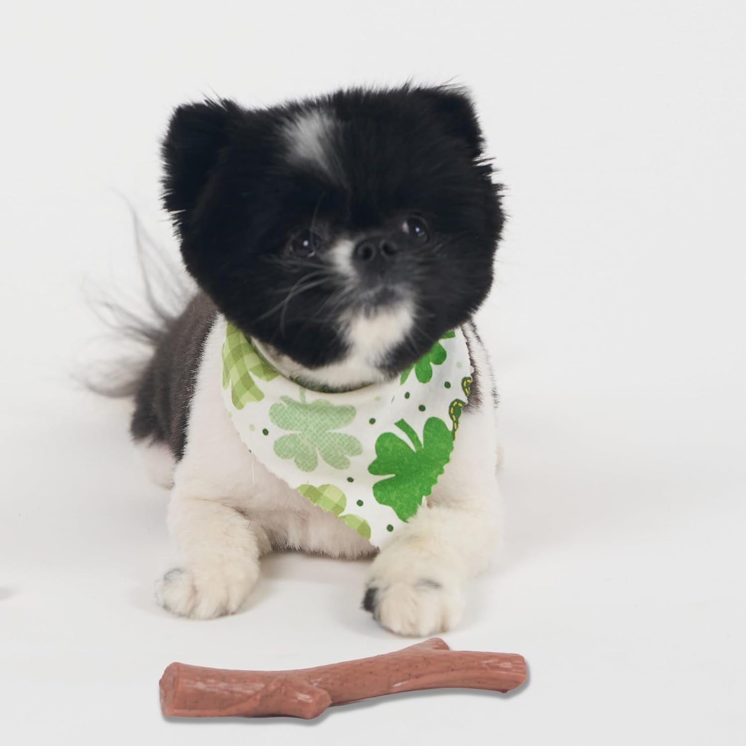 spot-bam-bones-plus-branch-bamboo-fiber-nylon-durable-long-lasting-dog-chew-for-aggressive-chewers-great-toy-for-adult-dogs-teething-puppies-under-60lbs-non-splintering-5-75in-beef-flavor