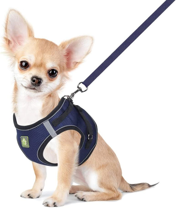 Feimax Dog Harness and Leash Set, No Pull Breathable Soft Mesh Puppy Vest Harness Reflective Adjustable Pet Harnesses for Small Medium Dogs and Cats - Outdoor Easy Control for Walking7