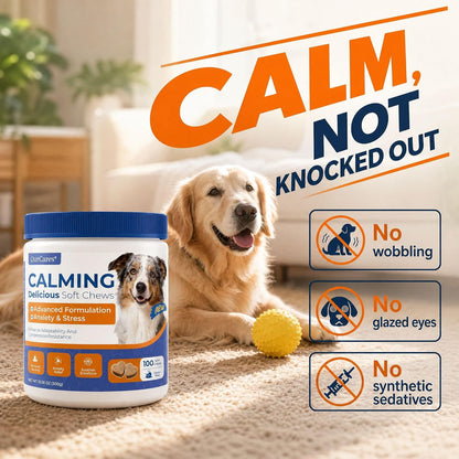 Calming Chews for Dogs Melatonin Anxiety Trial Pack 15 Ct Chicken | Non-Drowsy Soft Chews with Melatonin, Chamomile & L-Theanine. 15-Day Trial Size for Anxiety, Storms, Travel & Sleep Support.3