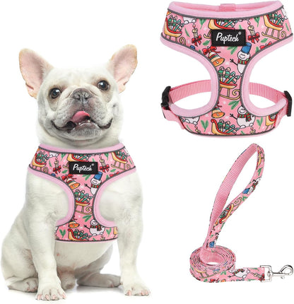 PUPTECK Soft Mesh Dog Harness Small Sized and Leash Set Pet Puppy Cat Comfort Padded Vest No Pull Harnesses, Beige, S74