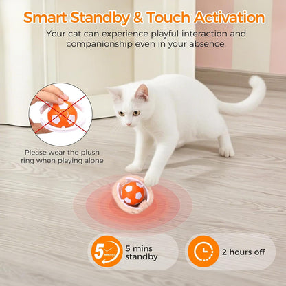 VIWIK Interactive Cat Toys for Indoor Cats, Hide and Seek Mouse Catching Game Cat Ball Toy, Automatic Motion Activated Kitten Toys, Low Noise Fast Rolling Ball in Play Mat for Bored Adult Cats4