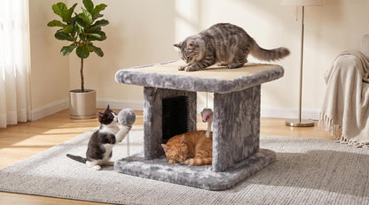 Large Cat Bed with Scratching Post and Combing Board, Sturdy and Durable, Ideal for Small Breeds | Large Plush Cat Tunnel with a Removable Sisal Scratch Pad, Grooming Brush, Hanging Toys, and Spacious Hideaway for Cats.7