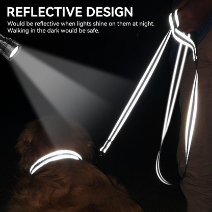Joytale Reflective Dog Leash for Medium & Large Dogs, 6 FT X 1", Black | Heavy Duty Nylon Webbing, Padded Handle for Comfort, Visible at Night, for Walking & Training4