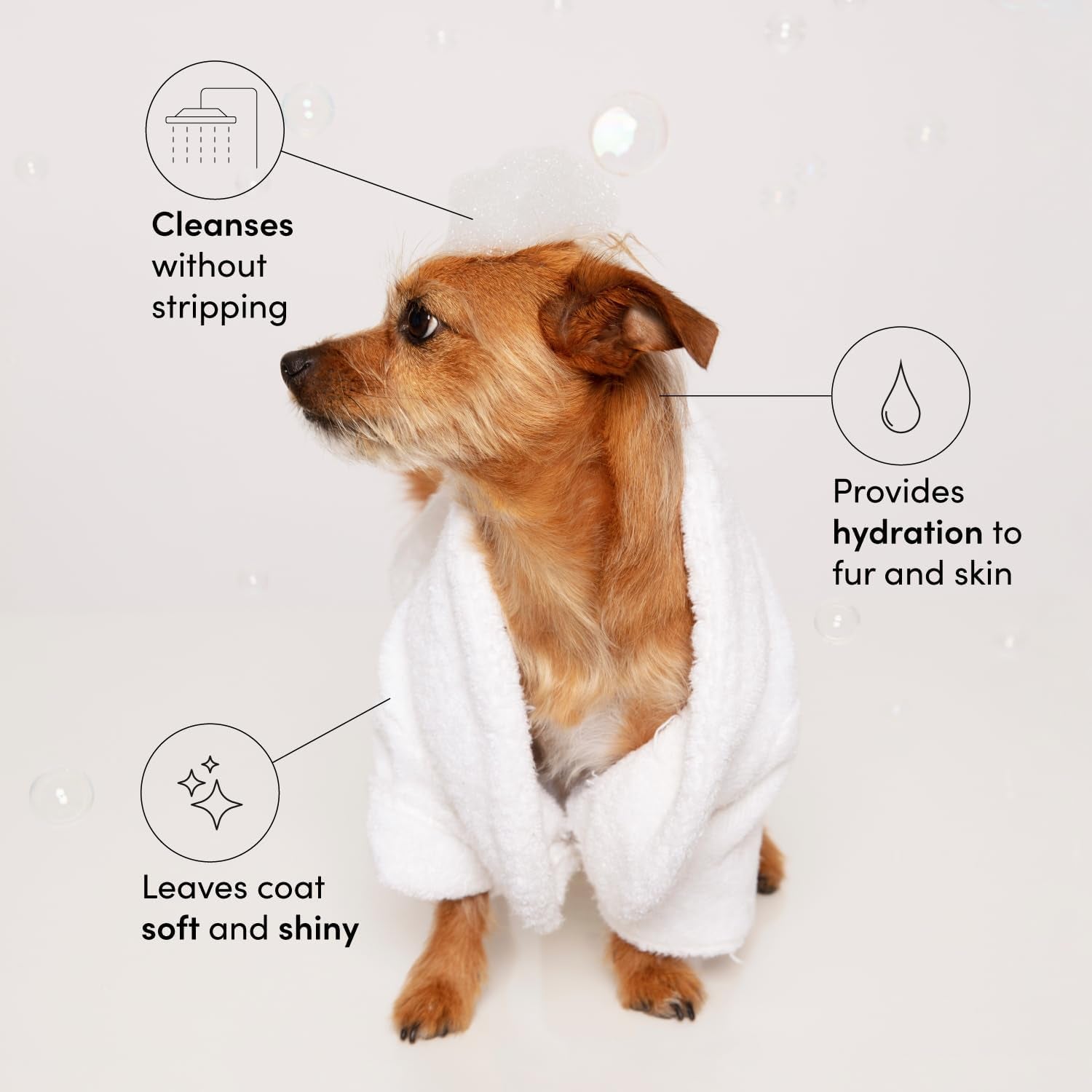 ouai-fur-bebe-pet-shampoo-cat-dog-shampoo-for-gentle-cleansing-hydration-shine-vegan-cruelty-free-pet-supplies-with-aloe-vera-panthenol-mercer-street-scent-16-fl-oz