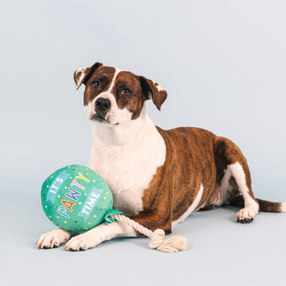 Fringe Studio Plush Dog Toy, I Pawty, You Pawty, Pet Shop Collection (314210)3