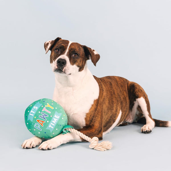Fringe Studio Plush Dog Toy, I Pawty, You Pawty, Pet Shop Collection (314210)3