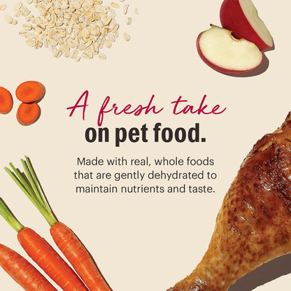 The Honest Kitchen Wholemade Whole Grain Turkey Recipe, Human Grade Dehydrated Dog Food, Just Add Water, Supports Digestion, Skin & Coat, Topper for Dry or Wet Dog Food, 10 Lb Box Makes 40 Lbs4