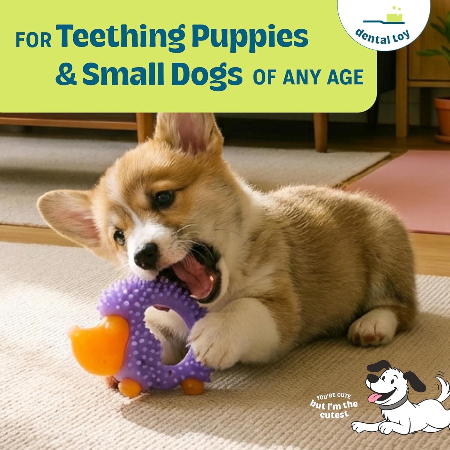cutie-chewies-hedgehog-dental-dog-chew-toy-multi-textured-massages-gums-floats-bounces-for-teething-puppies-small-dogs-5-x-3-5-x-1