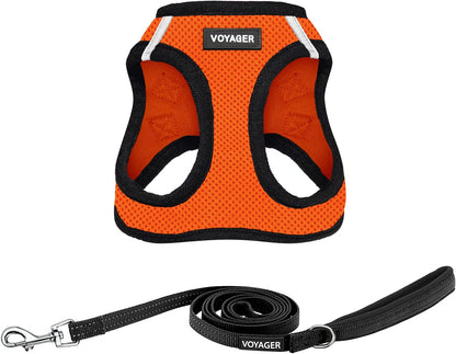 Best Pet Supplies Voyager Step-In Air All Weather Mesh Harness and Reflective Dog 5Ft Leash Combo with Neoprene Handle, for Small, Medium and Large Breed Puppies - Baby Blue, Small15