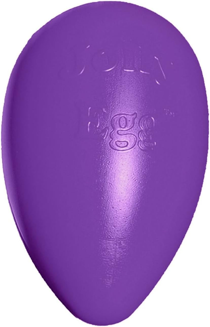 jolly-pets-jolly-egg-dog-toy-12-inches-large-red