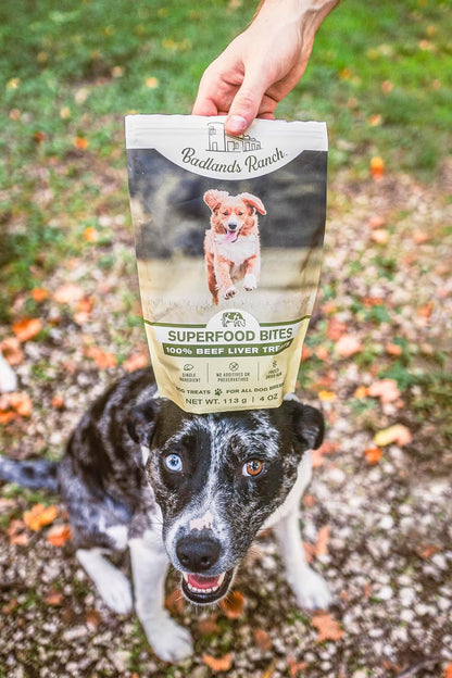 BADLANDS RANCH by Katherine Heigl – Superfood Bite Freeze-Dried Raw Beef Liver Dog Treats – High Protein Single-Ingredient Snacks for Training, Rewards & Daily Wellness8