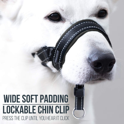 Goodboy Dog Head Halter with Safety Strap - Stops Heavy Pulling on the Leash - Padded Headcollar for Small Medium and Large Dog Sizes - Head Collar Training Guide Included (Size 2, Black)3