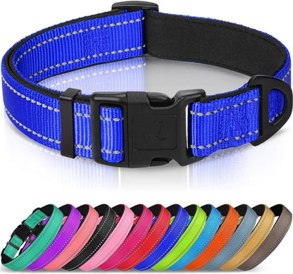 Joytale Reflective Dog Collar, Adjustable Neoprene Padded, Teal L | Breathable Nylon for Large Dogs, No Chafing on Walks and Outdoor Hikes, Tear-Resistant Webbing, Metal D-Ring, Night Safety16