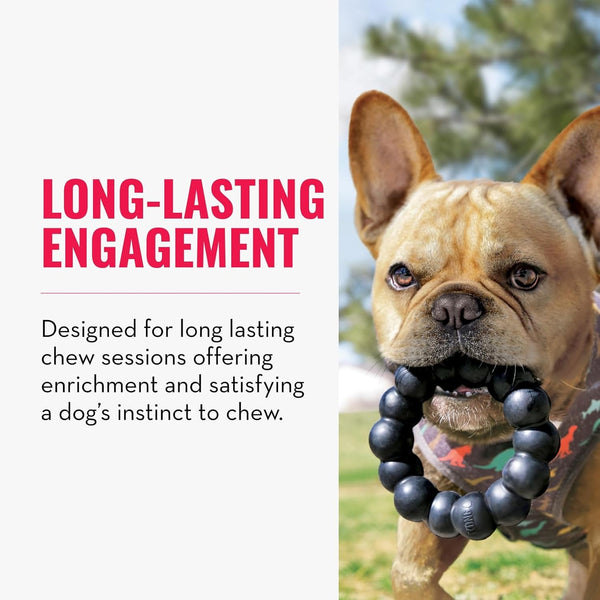 KONG Extreme Ring - Durable Natural Rubber Ring Toy for Healthy Chewing Habits - Chew Toy Supports Dog Dental Health - Dog Toy Supports Instincts during Playtime - for XL Dogs3
