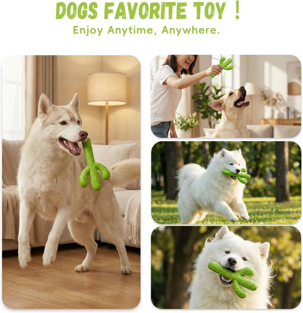 Mewajump Dog Chew Toys, Durable Rubber Dog Toys for Aggressive Chewers, Cactus Tough Toys for Training and Cleaning Teeth, Interactive Dog Toys for Medium/Large Dog4