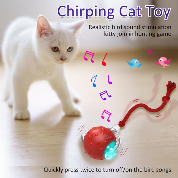 Giociv Interactive Cat Toys Ball for Indoor Cats Fast Rolling on Carpet, Chirping & Motion Activate Cat Toys (Red)5