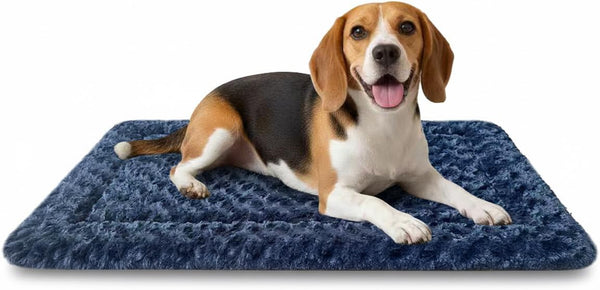 Dog Bed Mat, Dual-Sided Dog Crate Bed Mat - Ultra Soft & Machine Washable Kennel Pad for Small Dogs, All-Season Comfort Pet Bed for Crates, Travel, and Home, Star Gray, 24 X 16 Inch16