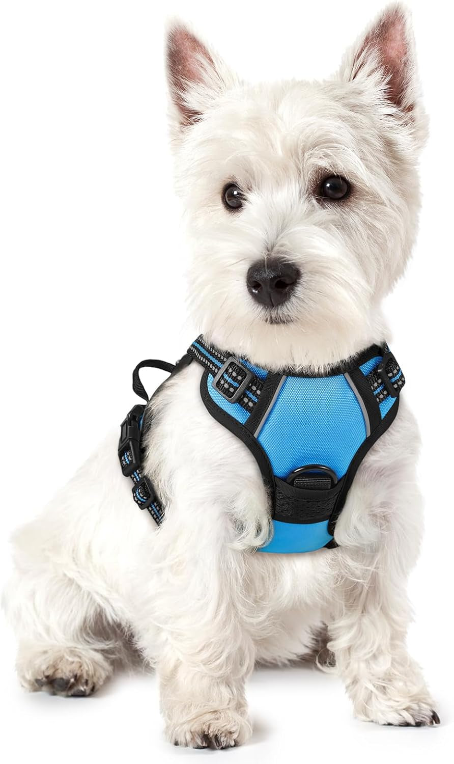 rabbitgoo-dog-harness-no-pull-for-large-dogs-with-2-leash-clips-pet-vest-no-choke-with-handle-adjustable-soft-padded-reflective-easy-control-for-walking-black-large
