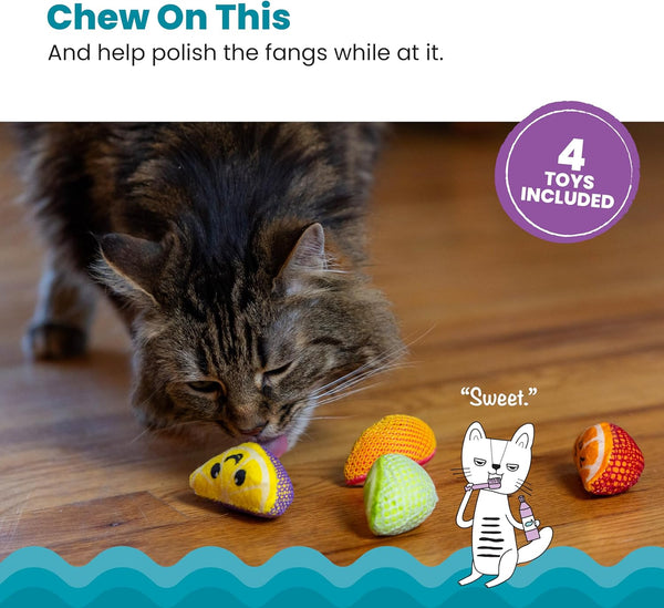 Catstages Dental Fruit Wedges 4 Pk, Soft and Textured Catnip Chew Toys That Help Clean Teeth, Multicolored2