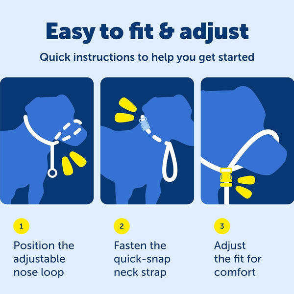 Petsafe Gentle Leader No Pull Dog Headcollar, Royal Blue, Medium | Veterinary Behaviorist-Designed No-Pull Headcollar Redirects Pulling Instinct, Padded Neoprene Nose Loop, Quick-Snap Fit7