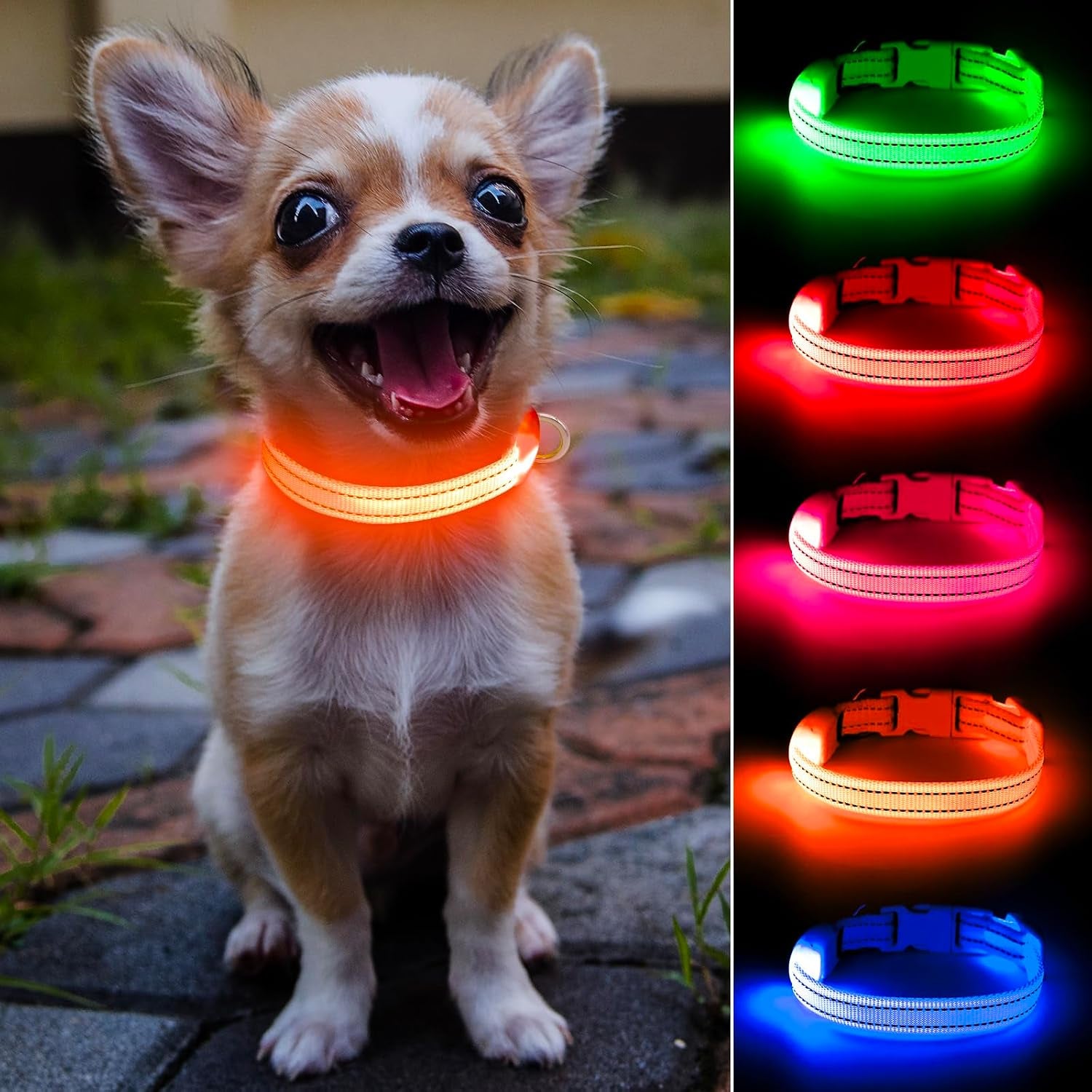 light-up-dog-collar-for-small-dogs-cats-reflective-led-dog-collar-rechargeable-glowing-puppy-collar-safety-dog-lights-for-night-walking-royal-blue