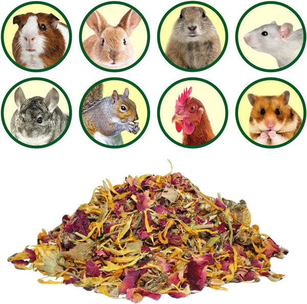 Flower Fusion Treat - Healthy Natural Dried Flower Herbivore Treat - Chinchillas, Guinea Pigs, Rabbits, Prairie Dogs, Degus, Hamsters, Rats, Squirrels, Sugar Gliders & Other Small Pets (0.85 Oz)2