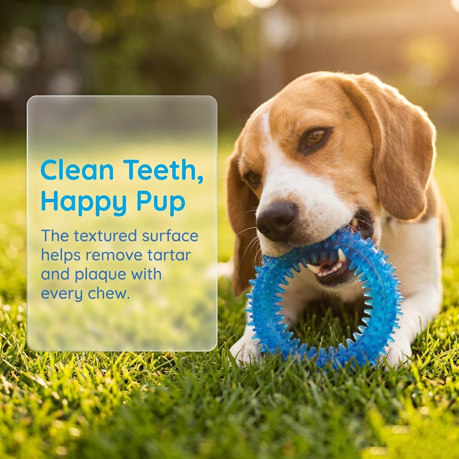 beiker-20-pack-puppy-chew-toys-blue-dog-teething-toys-for-puppies-puppy-teething-rings-and-ropes-rubber-toy-bundle-for-small-dogs-cute-interactive-dog-balls-for-small-breed