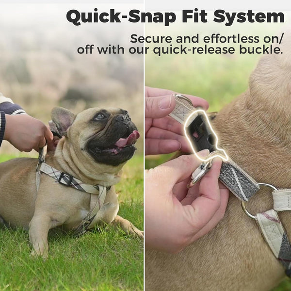 BINGPET Dog Harness Collar Leash Set,Adjustable No Pull Escape Proof Small Dog Harness,Classic Plaid Puppy Harness and Leash Set for Small Medium Large Dogs Training Easy Walk Running(Beige,S)4