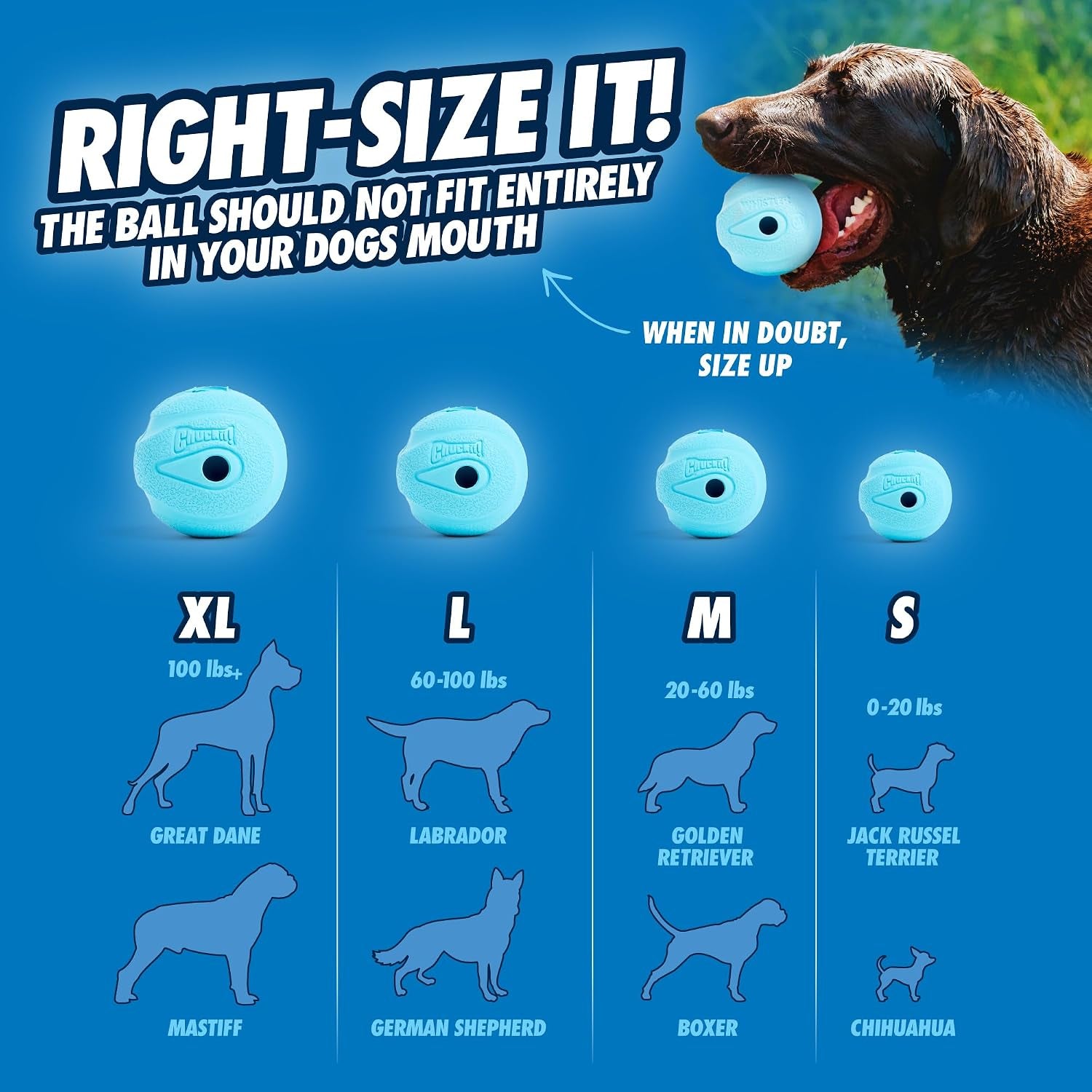 chuckit-the-whistler-ball-dog-toy-medium-2-5-inch-diameter-for-dogs-20-60-lbs-pack-of-2-multicolor
