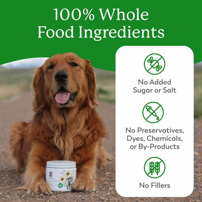 Dr. Harvey'S Herbal Multi-Vitamin and Mineral Supplement for Dogs (7 Ounces)3