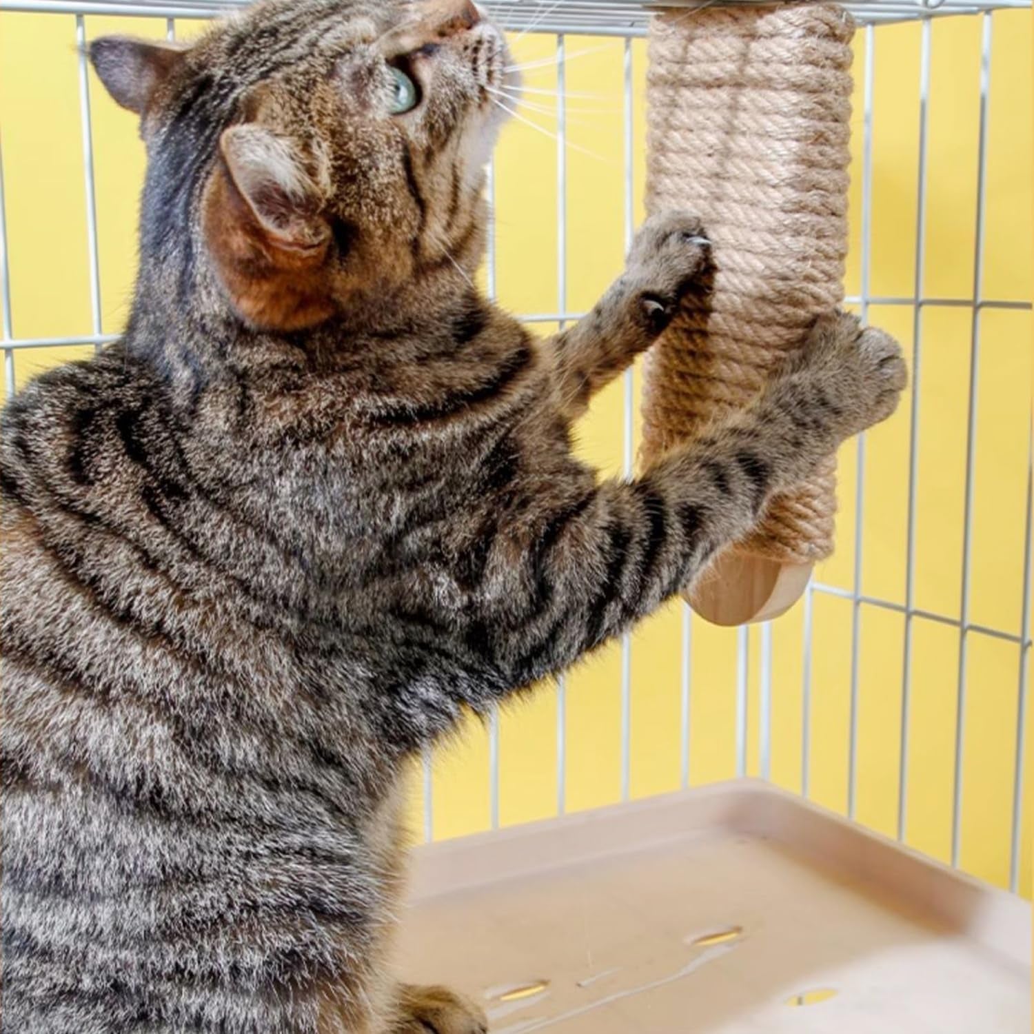 cat-climbing-steps-scratching-tree-2pcs-scratching-steps-sisal-hemp-cage-shelf-ladder-pets-perch-furniture-inside-the-cage-with-install-screws-s