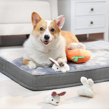 Amazon Basics Interactive Hide and Seek Squeaky Dog Plush Toy with Squeaker for Small Dogs, Rabbit and Carrot, Orange and White, 5-Pack10