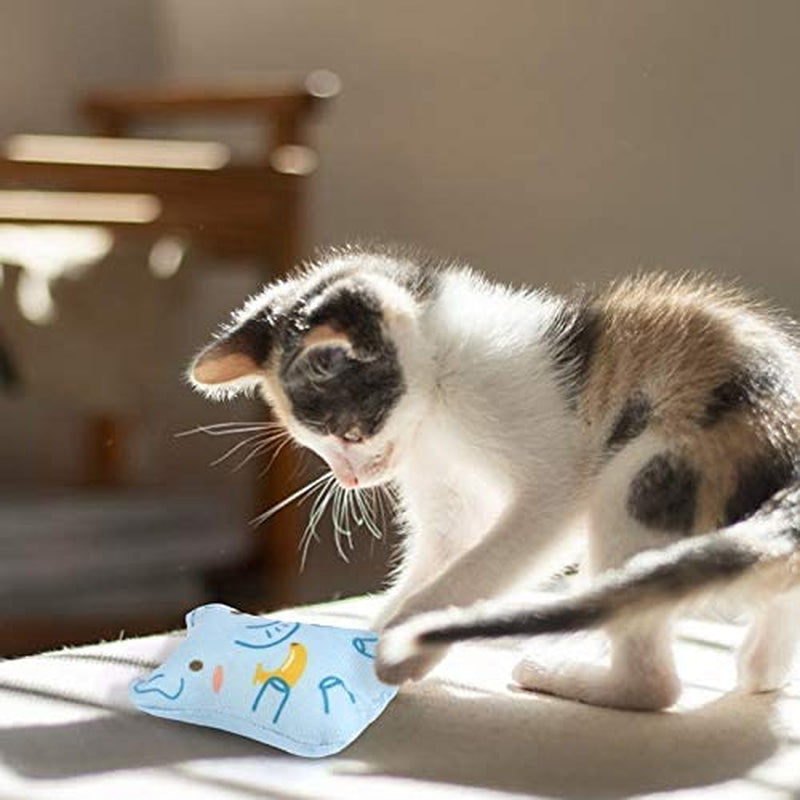 catnip-toys-for-indoor-cats-5pcs-plush-cat-chew-toys-teething-interactive-catnip-filled-kitten-toy-soft-pet-toy