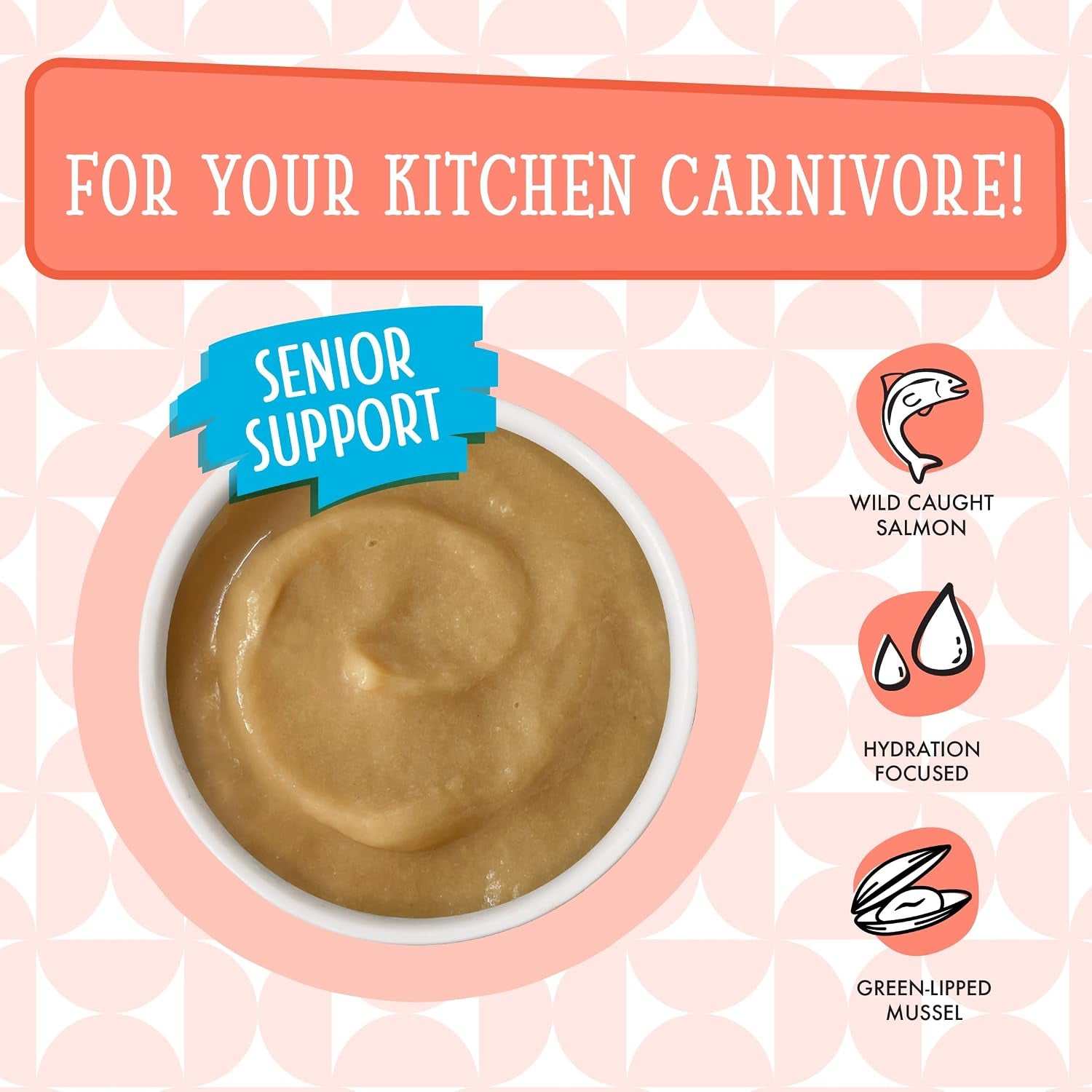 weruva-cats-in-the-kitchen-pantry-pours-salmon-bisque-with-senior-support-1-4oz-pouch-pack-of-12