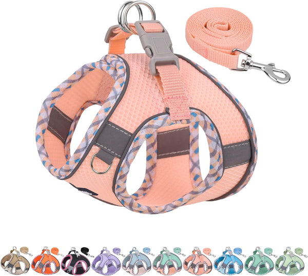 AIITLE Tiny Dog Harness - Lightweight Mesh Step-In Vest for Puppy, Reflective & Escape-Proof Design with High-Stick Magic Tape - Indoor/Outdoor Use for Chihuahua, Maltese, Shih Tzu(Brown-Beige, XXXS)14