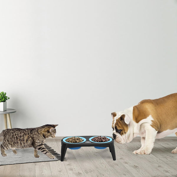 Elevated Pet Bowls Collection with Non Slip Stand for Dogs and Cats-Removeable and Collapsible Silicone Feeder for Food and Water- 16 Oz Each by PETMAKER (Pink), Blue4