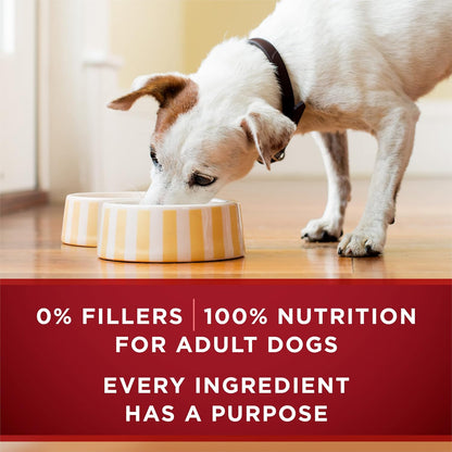 Purina ONE True Instinct Tender Cuts in Gravy with Real Turkey and Venison, and with Real Chicken and Duck High Protein Wet Dog Food Variety Pack - (Pack of 6) 13 Oz. Cans8