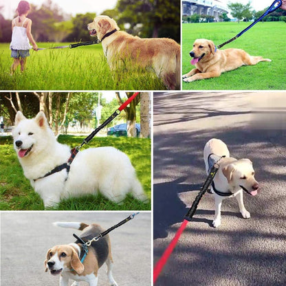 Bungee Dog Leash Extension Attachment, 18” Shock Absorbing Lead Extension Absorber, Prevent Injury on Arm and Shoulder & save Dogs from Getting Hurt, Great for Bicycle, Running, Walking7