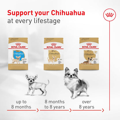 ROYAL CANIN Breed Health Nutrition Chihuahua Adult Dry Dog Food, 2.5 Lb Bag | Breed Specific Nutrition, Supports Healthy Digestion, Small Kibble Size for Tiny Jaws, Ideal Weight Maintenance8