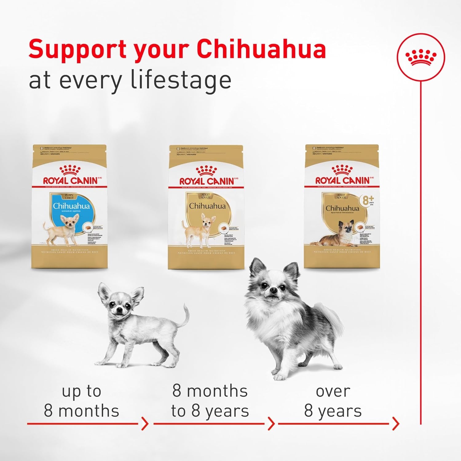 royal-canin-breed-health-nutrition-chihuahua-adult-dry-dog-food-2-5-lb-bag-breed-specific-nutrition-supports-healthy-digestion-small-kibble-size-for-tiny-jaws-ideal-weight-maintenance